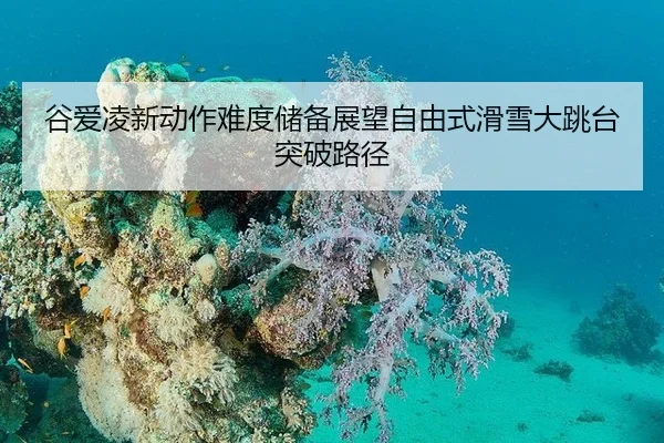 gu-ai-ling-xin-dong-zuo-nan-du-chu-bei-zhan-wang-zi-you-shi-hua-xue-da-tiao-tai-tu-po-lu-jing-2-993.jpg