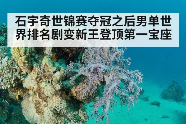 石宇奇世锦赛夺冠之后男单世界排名剧变新王登顶第一宝座